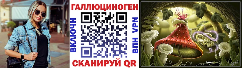 Псилоцибиновые грибы Psilocybe  Морозовск 